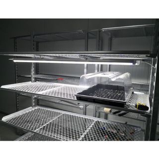 Carro para crecimiento de clones cultivo indoor