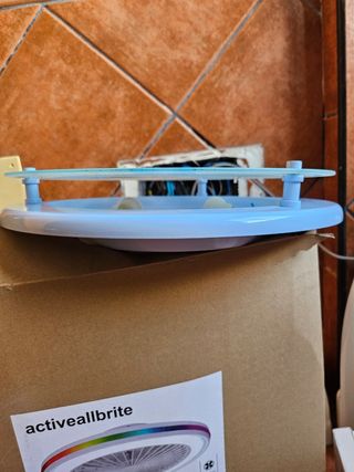 Lampara poseyendo bebe