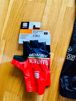 Traje ciclismo Bahrain MacLaren LeCoL/Ale