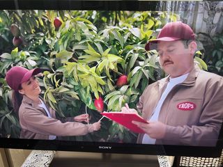 Television Sony Bravia 40 pulgadas