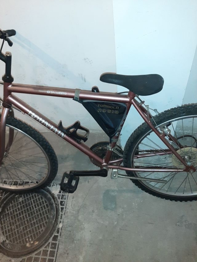 Bicicleta