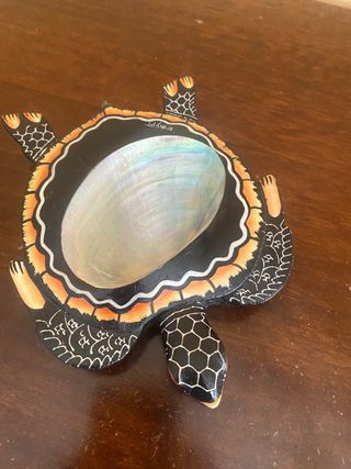 Tartarughe collezione