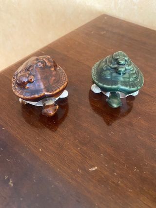 Tartarughe collezione