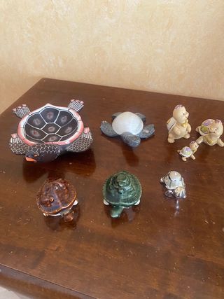 Tartarughe collezione