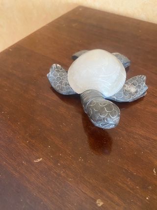 Tartarughe collezione