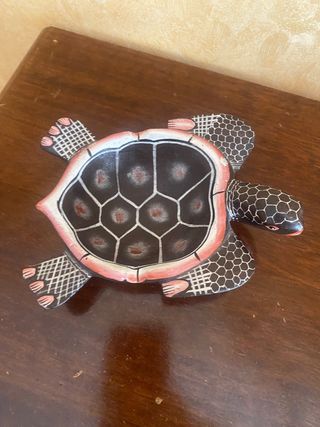 Tartarughe collezione