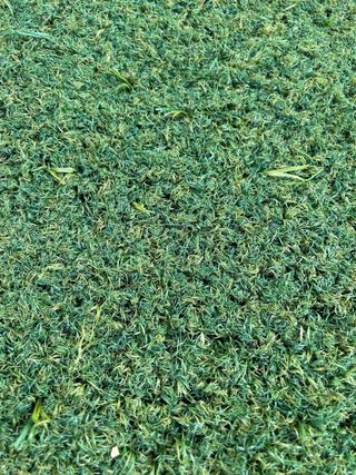 Cesped artificial