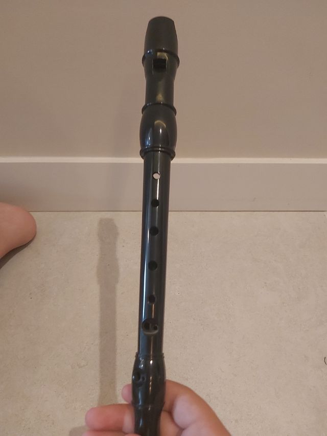 Flauta dulce con funda