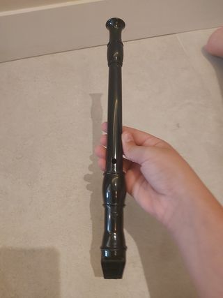 Flauta dulce con funda