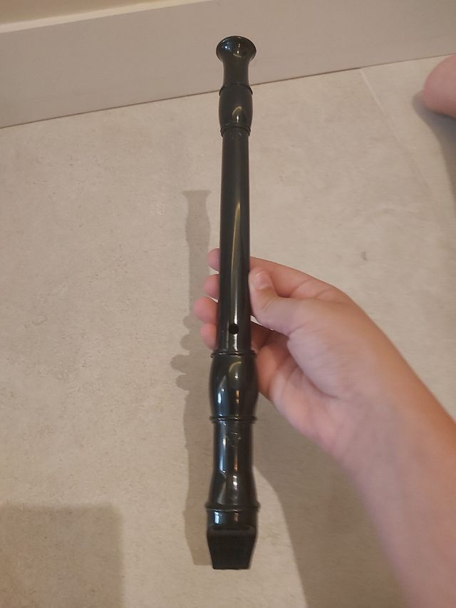 Flauta dulce con funda