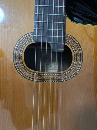 Guitarra amplificada takamine
