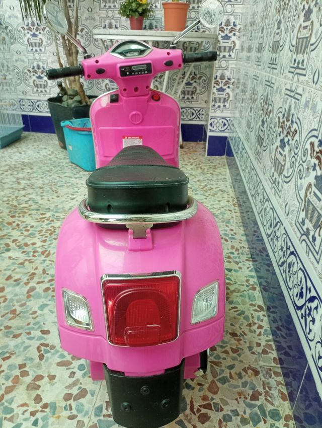 Vespa rosa bateria