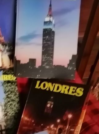 Inglés a domicilio /online