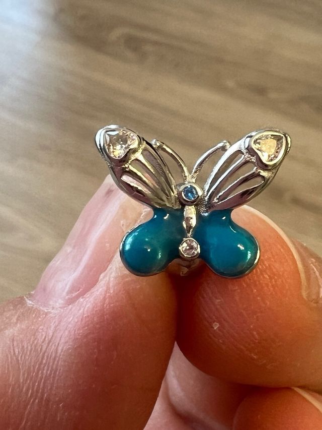 Charm polilla plata S925