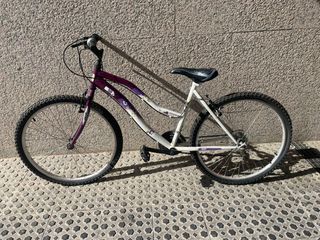 Bicicleta mujer