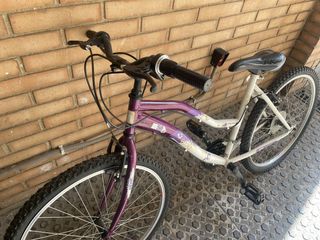 Bicicleta mujer