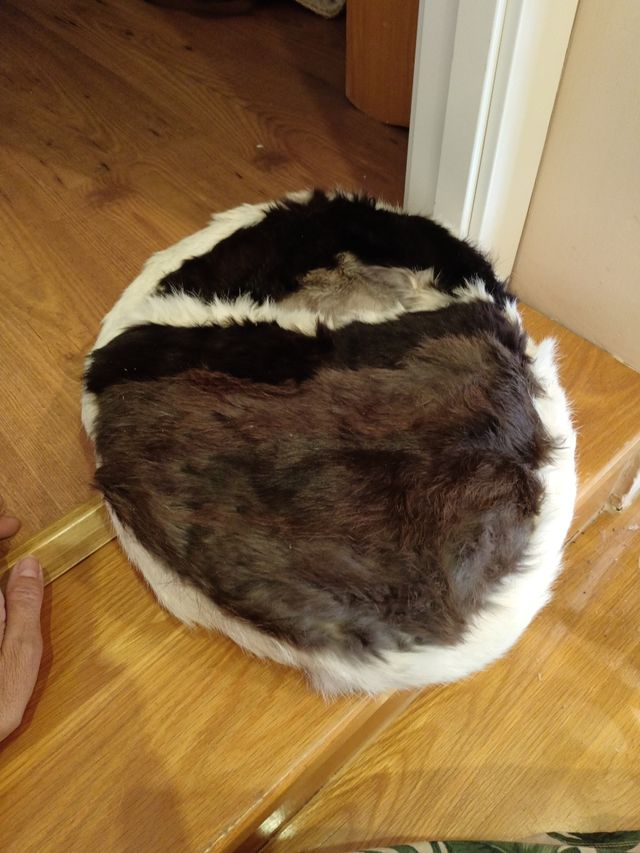 Cama de perro pequeño piel