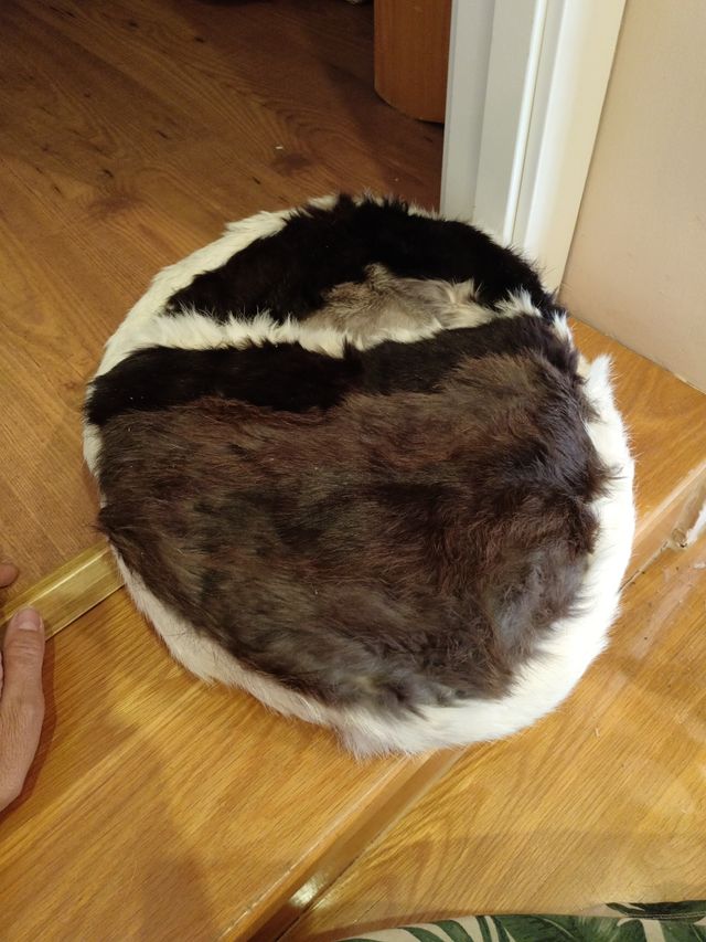 Cama de perro pequeño piel