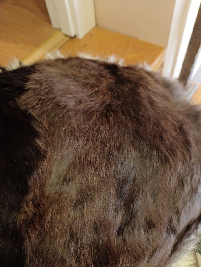 Cama de perro pequeño piel