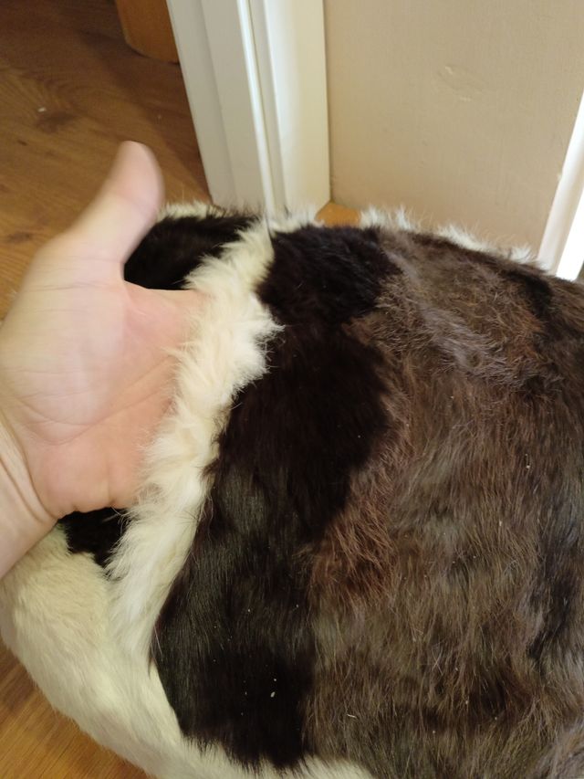 Cama de perro pequeño piel