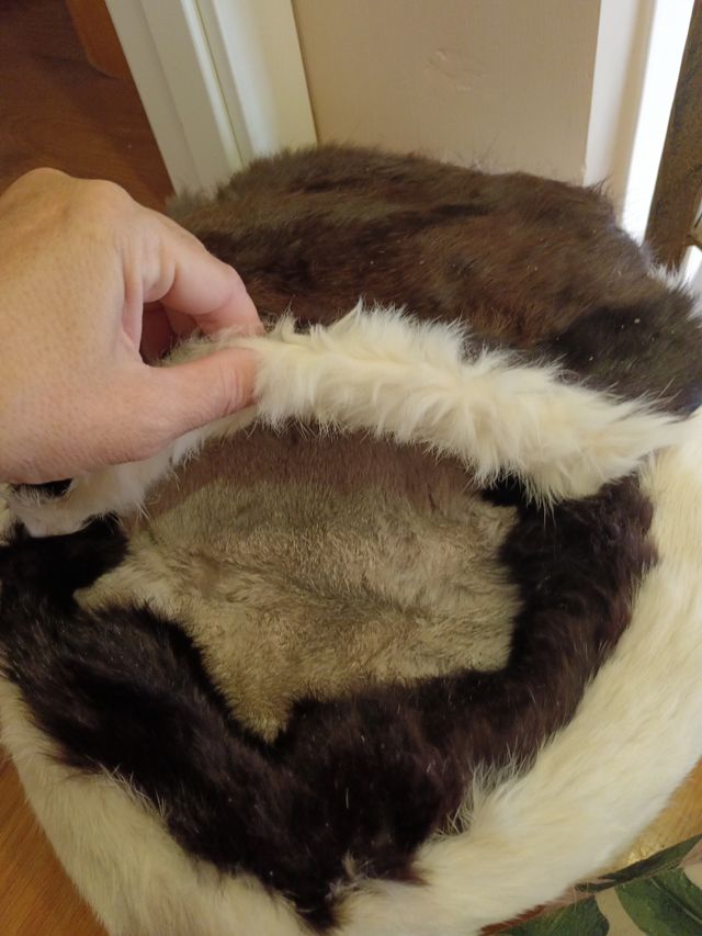 Cama de perro pequeño piel