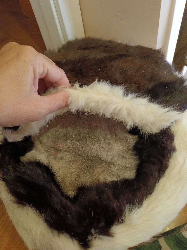 Cama de perro pequeño piel