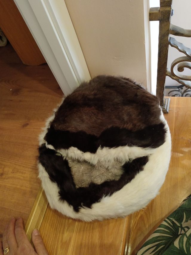 Cama de perro pequeño piel