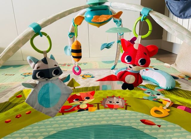 Manta gimnasio Tiny Love