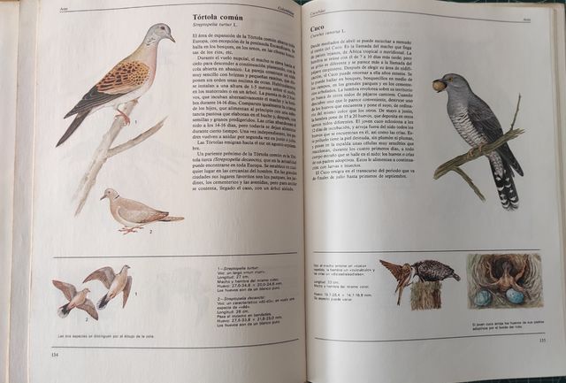 El Gran Libro de los Animales