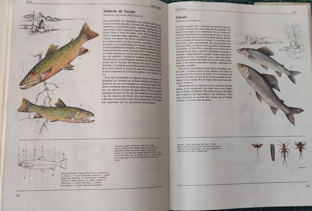 El Gran Libro de los Animales