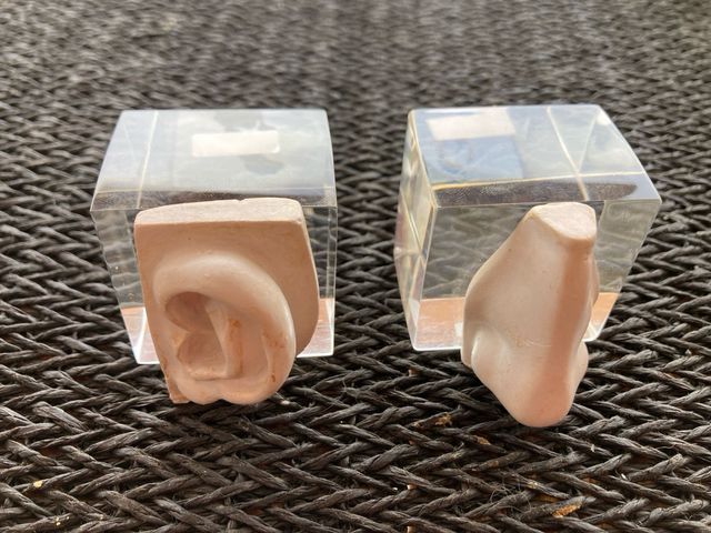 Nariz y Oreja escultura Silvia Stein