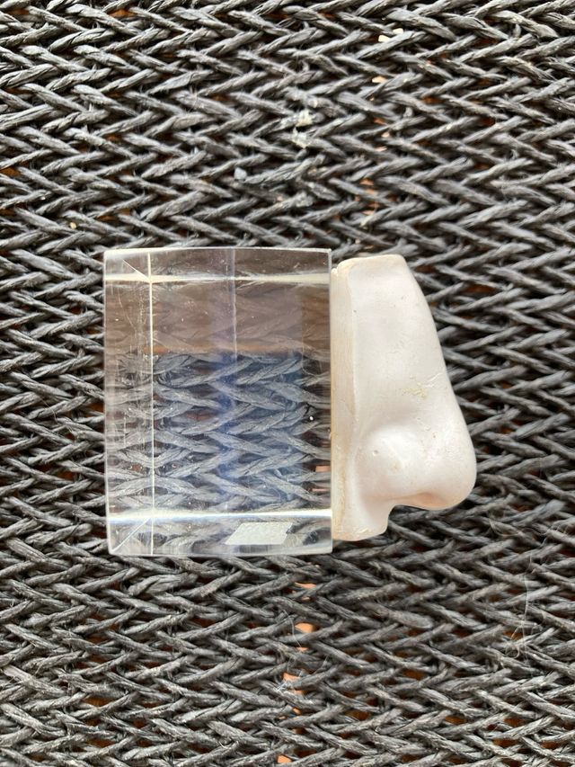 Nariz y Oreja escultura Silvia Stein