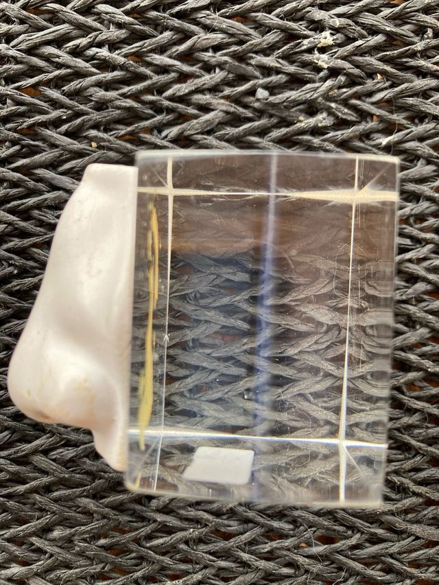 Nariz y Oreja escultura Silvia Stein