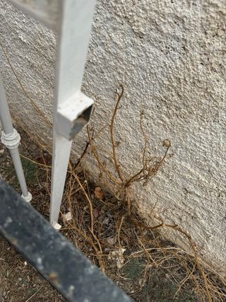 Valla jardin