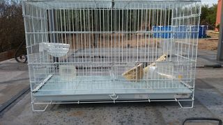 Lote de 10 Jaulas pajaros