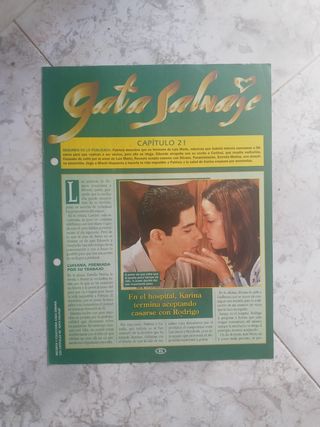 Gata Salvaje. Retales