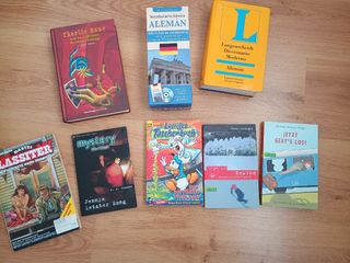 Diccionario, vocabulario Alemán y otros libros 
