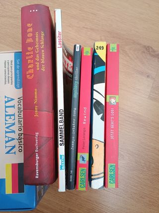Diccionario, vocabulario Alemán y otros libros 