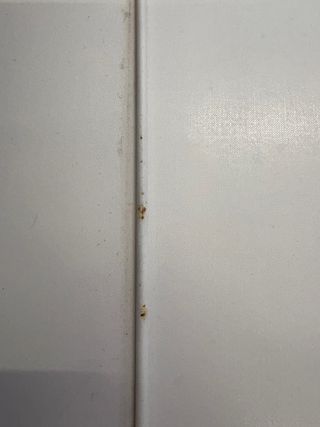 Bañera/cambiador Jane