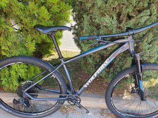 Bicicleta 29