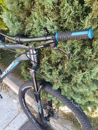 Bicicleta 29