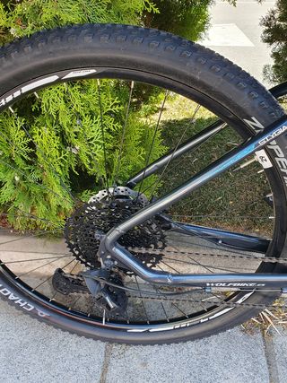 Bicicleta 29