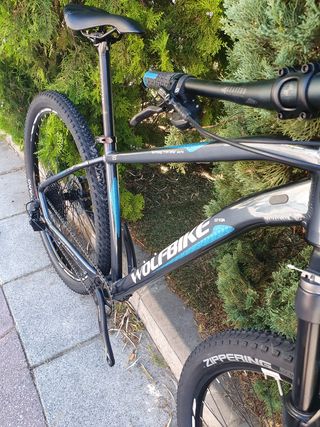 Bicicleta 29