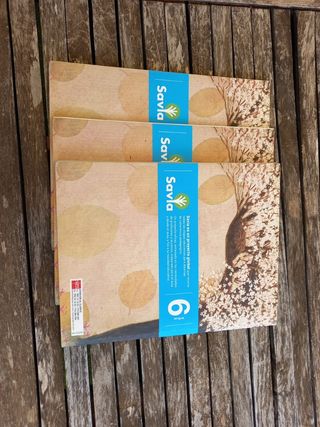 ISBN 9788467575568 Lengua 6 Primaria
