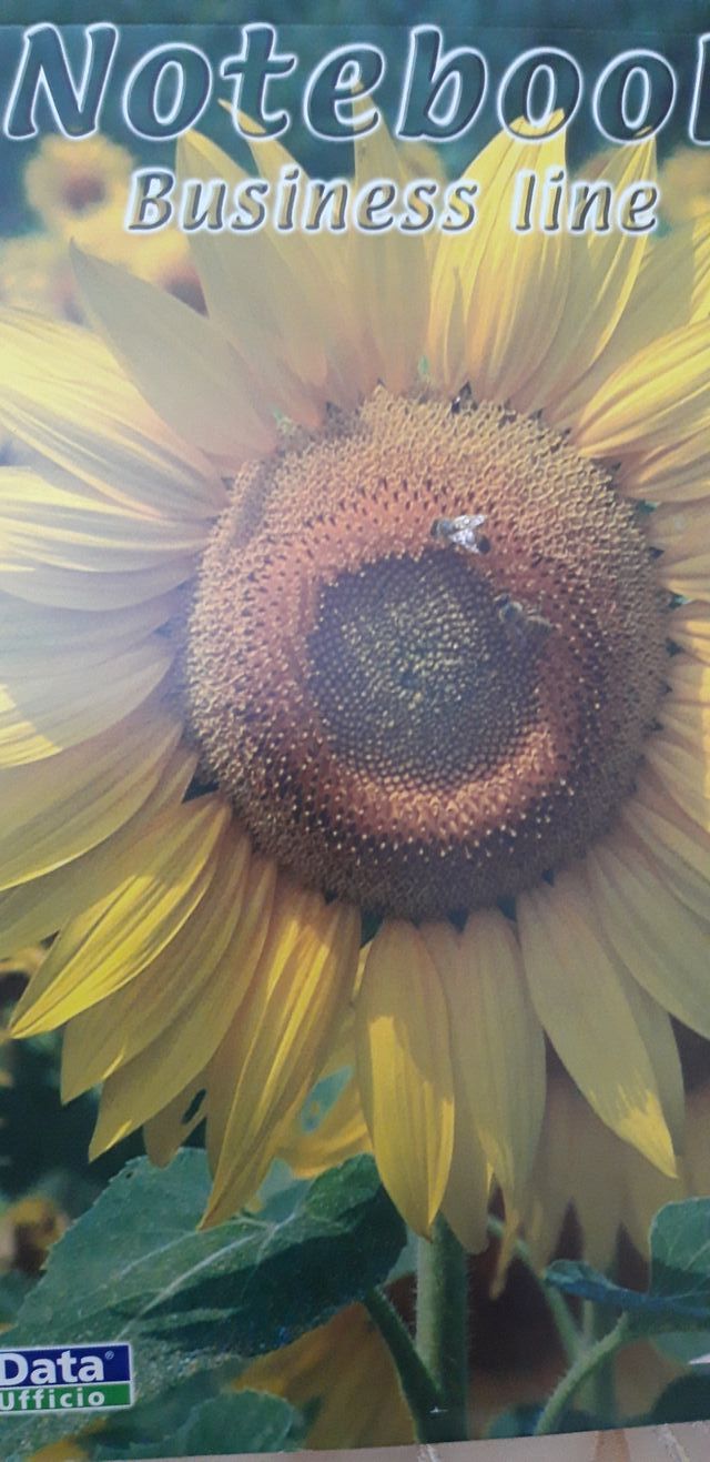 Set quadernoni e block-notes