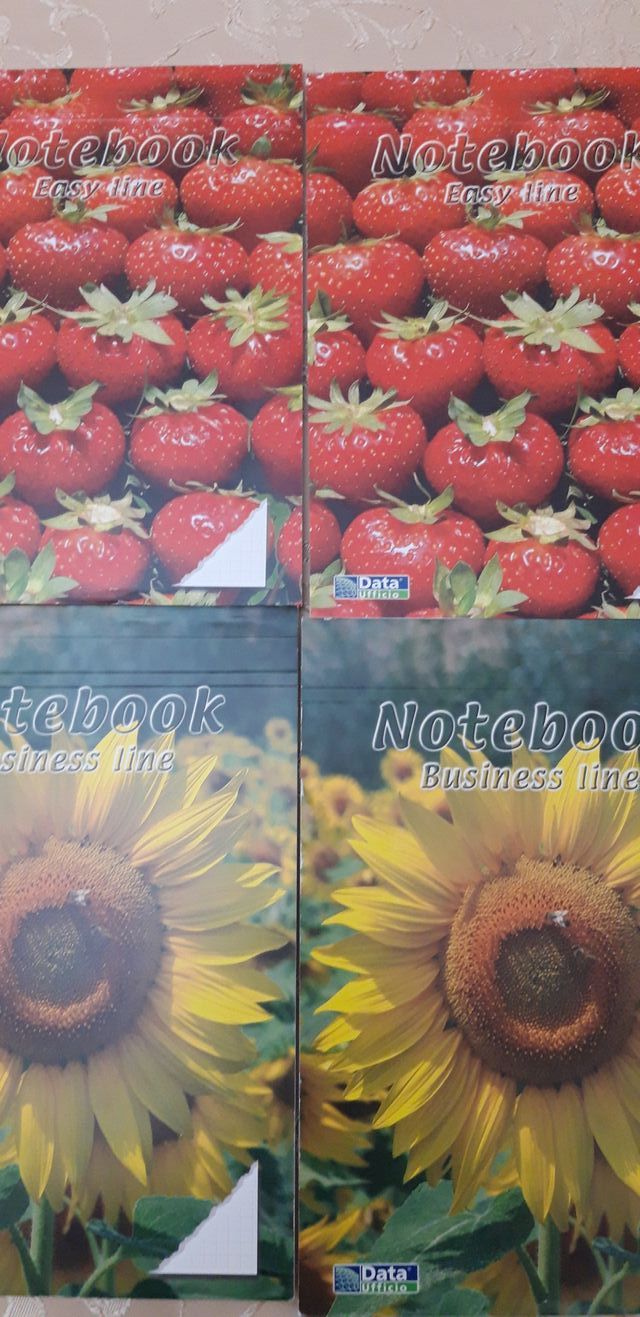 Set quadernoni e block-notes