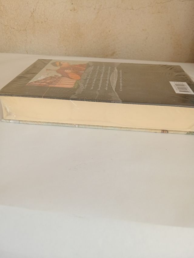 Lote 2 libros Edad media Novela histórica