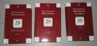 COLECCION DE DICCIONARIOS