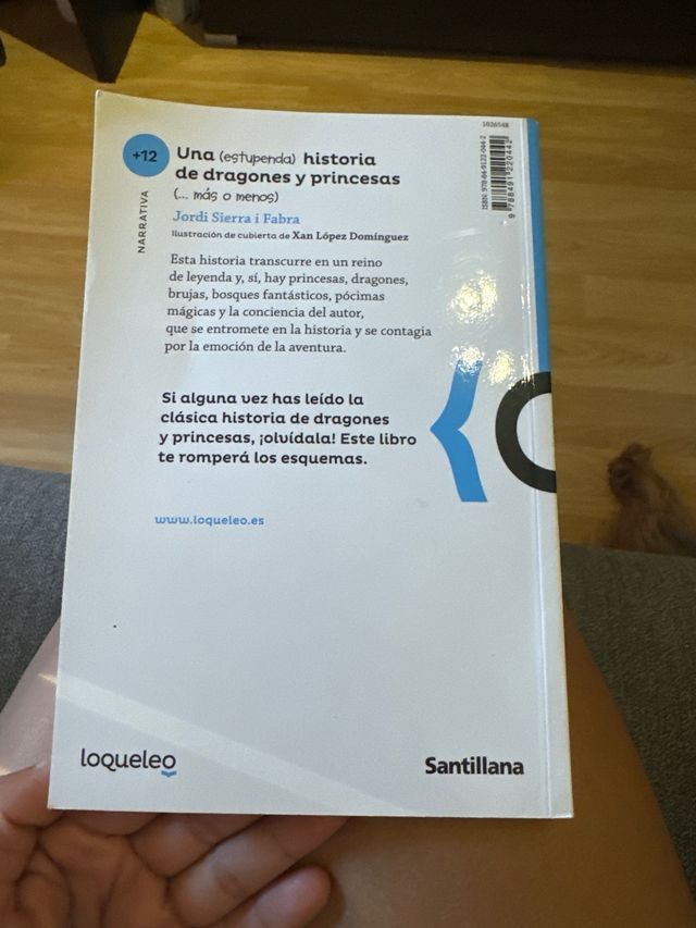 Una estupenda hostoria de dragones y princesas
