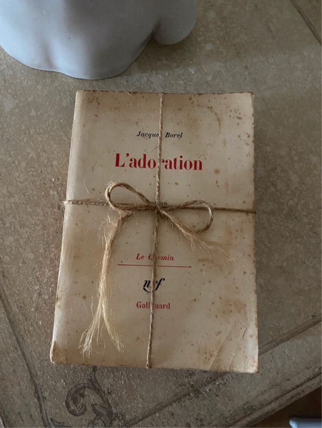 Libri francesi da decorazione